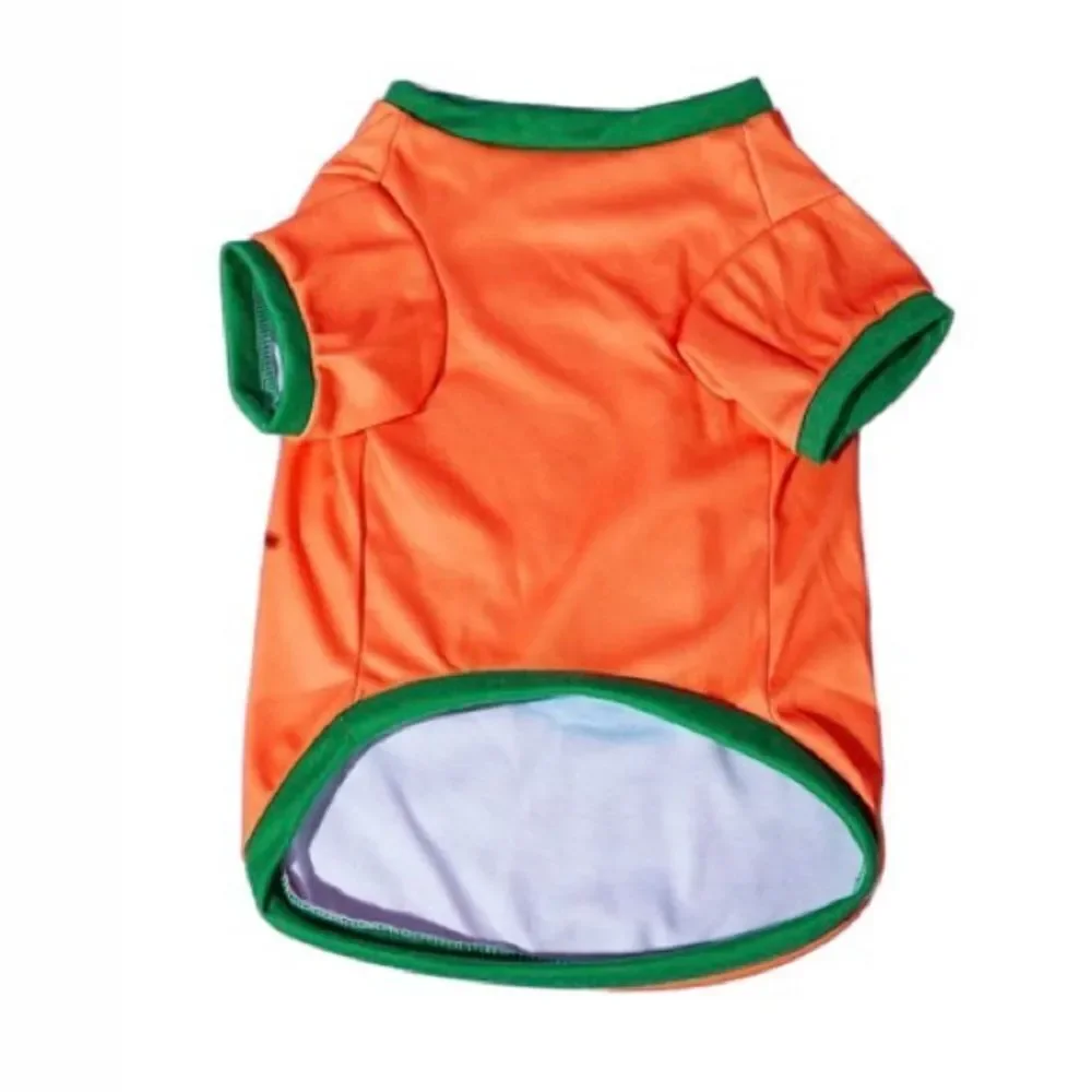 Pumpkin 🎃 Pet Shirt